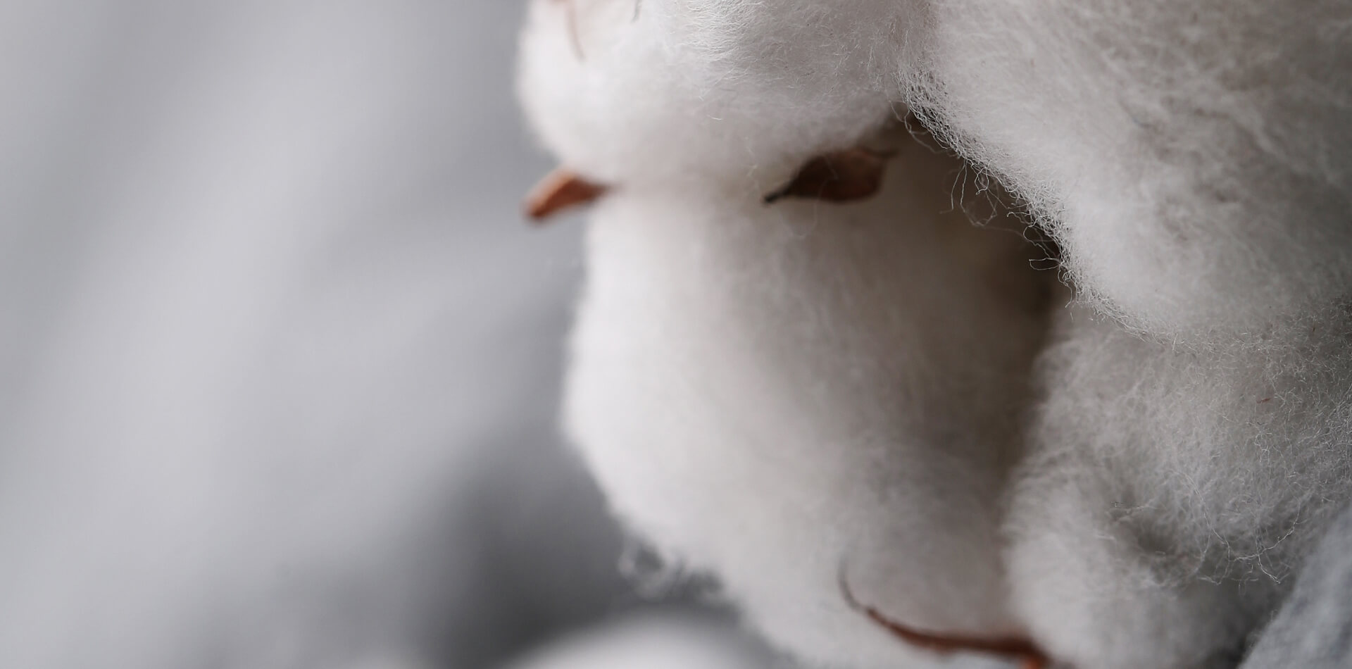 彈簧棉：全球首創不用彈性纖維的100% 棉布，平織針織都行！