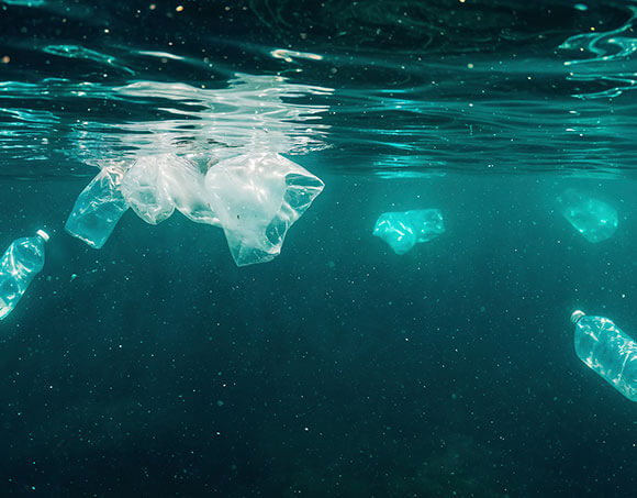 Bio Softshell Plastic Free Fleece - Sustainable Solution to Microplastic Pollution