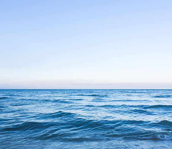 Plastic-Free Performance Fabric“Stretch, Windproof, Weatherproof, and More”